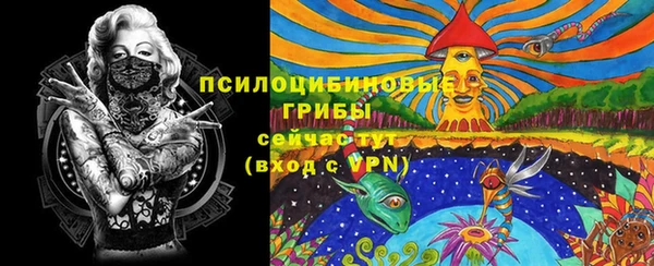 метадон Болхов