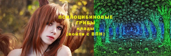 альфа пвп Новодвинск