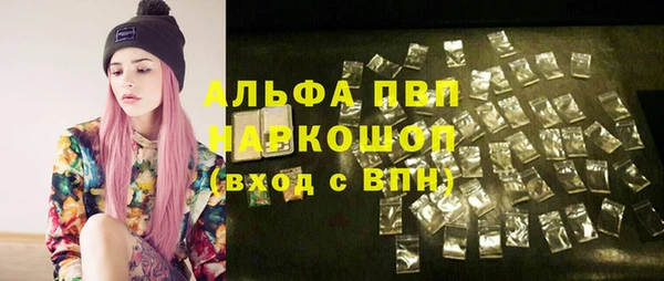 альфа пвп Новодвинск
