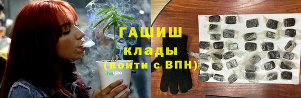 альфа пвп Новодвинск