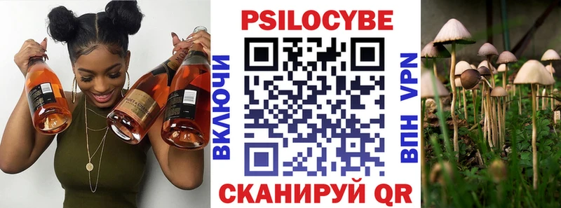 Псилоцибиновые грибы ЛСД  Козловка 